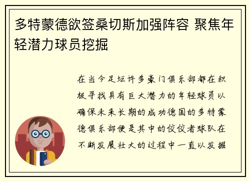多特蒙德欲签桑切斯加强阵容 聚焦年轻潜力球员挖掘