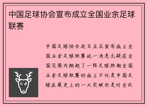 中国足球协会宣布成立全国业余足球联赛