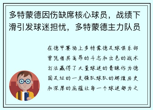 多特蒙德因伤缺席核心球员，战绩下滑引发球迷担忧，多特蒙德主力队员名单